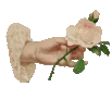 Option icon